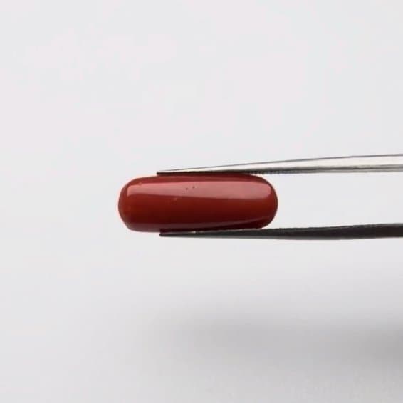 Red Coral | 5.25 Ratti