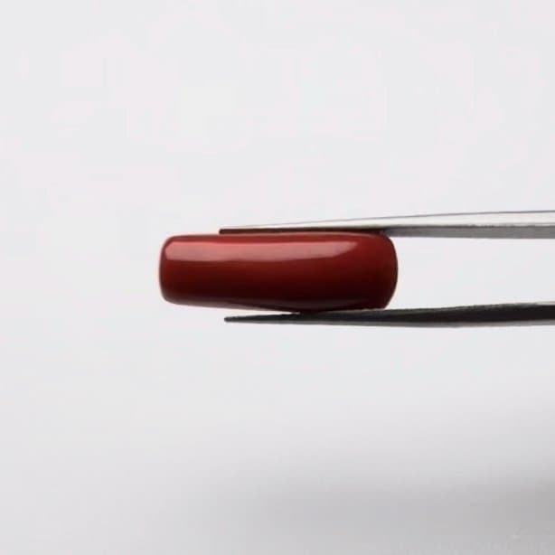 Red Coral | 10.00 Ratti