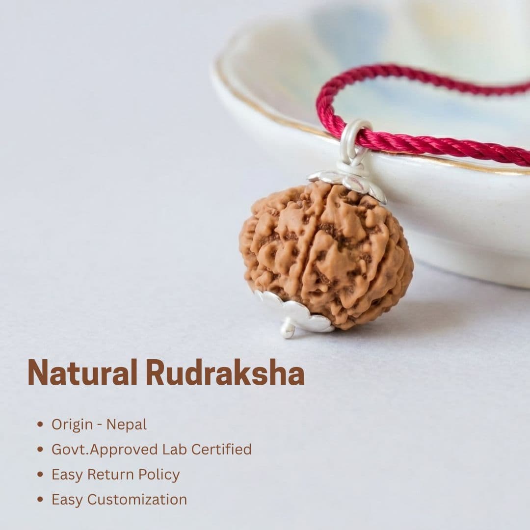5 Mukhi Rudraksha